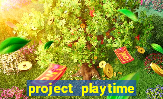 project playtime mobile beta